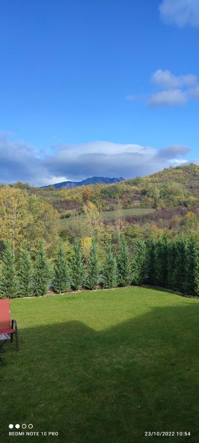 Вилла View Cozia Кэлимэнешти Экстерьер фото